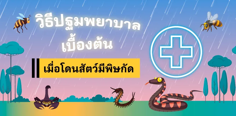 วิธีปฐมพยาบาลเบื้องต้น เมื่อโดนสัตว์มีพิษกัดต่อย